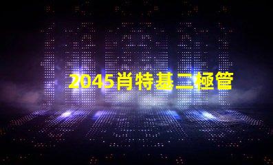 2045肖特基二極管參數(shù)揭秘其性能與應(yīng)用優(yōu)勢