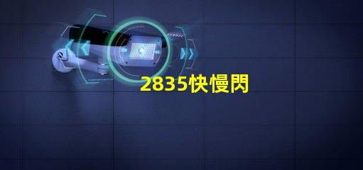 2835快慢閃