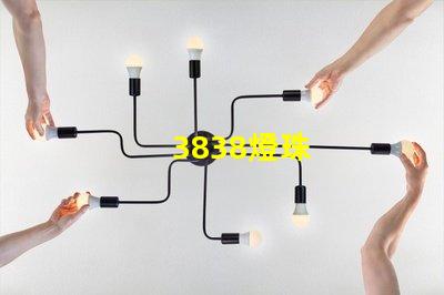 3838燈珠