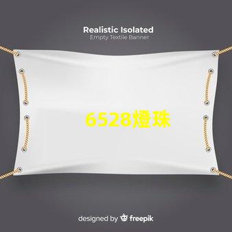 6528燈珠