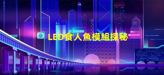 LED食人魚模組探秘新型LED食人魚模組的優(yōu)勢(shì)與應(yīng)用