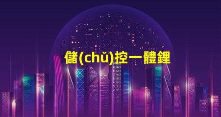 儲(chǔ)控一體鋰電池路燈智慧照明解決方案的未來趨勢