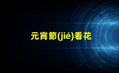元宵節(jié)看花燈作文探索傳統(tǒng)文化的魅力與意義
