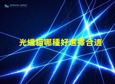 光纖貓哪種好選擇合適光纖貓的終極指南