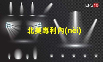 北美專利內(nèi)置ic燈珠