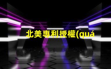 北美專利授權(quán)3030燈珠專利號US8124988B2解析—這款LED燈珠為何備受青睞