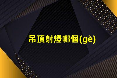 吊頂射燈哪個(gè)品牌好評(píng)測(cè)最受歡迎的吊頂射燈品牌