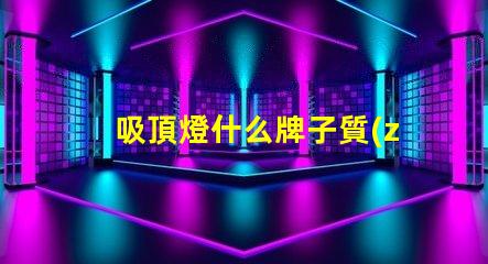 吸頂燈什么牌子質(zhì)量好又實惠優(yōu)質(zhì)與經(jīng)濟性的完美平衡