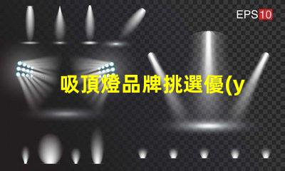 吸頂燈品牌挑選優(yōu)質(zhì)吸頂燈品牌的實(shí)用指南