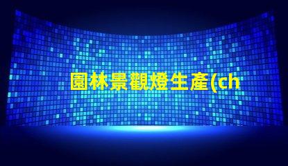園林景觀燈生產(chǎn)廠探索高效環(huán)保的照明解決方案