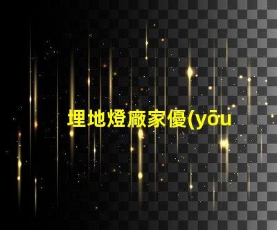 埋地燈廠家優(yōu)質(zhì)埋地燈的選擇與對比