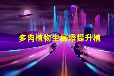 多肉植物生長燈提升植物健康與生長效率的秘密