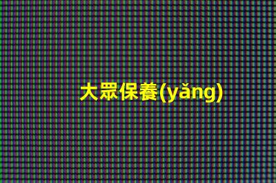 大眾保養(yǎng)揭秘大眾汽車保養(yǎng)的最佳實(shí)踐