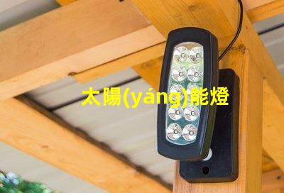 太陽(yáng)能燈光控開(kāi)關(guān)提升戶外照明效率的智能選擇
