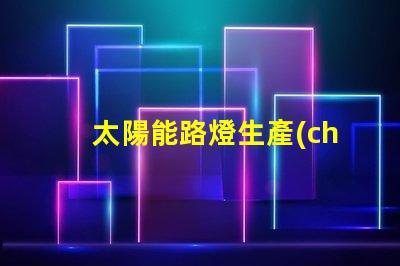 太陽能路燈生產(chǎn)公司高效能照明解決方案的選擇