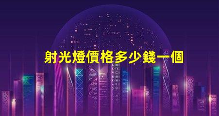 射光燈價格多少錢一個市場價格解析與選購指南