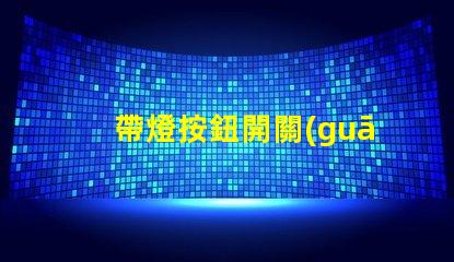 帶燈按鈕開關(guān)最佳選擇提升用戶體驗的智能開關(guān)