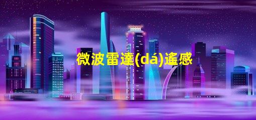 微波雷達(dá)遙感探測技術(shù)在復(fù)雜環(huán)境中的應(yīng)用