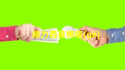 德力西是哪個(gè)國(guó)家的品牌德力西品牌背后的國(guó)際故事揭秘