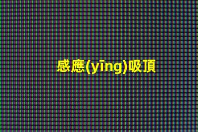 感應(yīng)吸頂燈智能家居照明解決方案的未來
