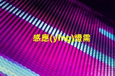 感應(yīng)燈需要電源嗎揭秘感應(yīng)燈背后的電源秘密