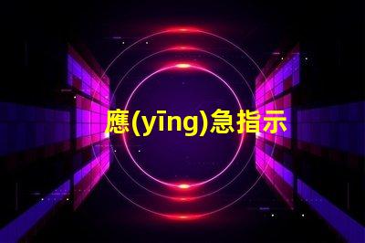 應(yīng)急指示標(biāo)志燈確保安全的關(guān)鍵亮點(diǎn)