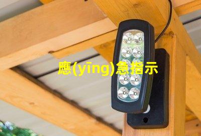 應(yīng)急指示燈電源確保安全的選擇與選購指南