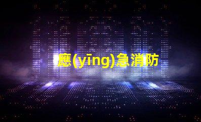 應(yīng)急消防吸頂燈高效照明與安全保護(hù)的結(jié)合