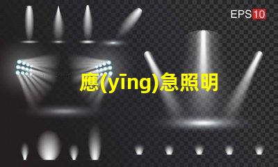 應(yīng)急照明和疏散指示提升安全性的重要設(shè)施解析