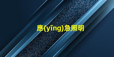 應(yīng)急照明和疏散指示系統(tǒng)確保安全撤離的關(guān)鍵技術(shù)解析