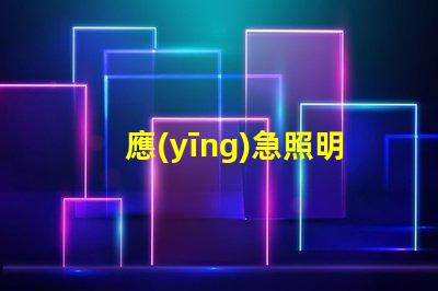 應(yīng)急照明控制器確保安全的智能解決方案