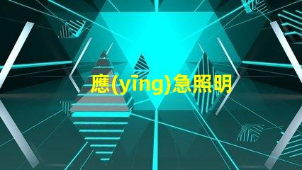 應(yīng)急照明燈具選擇如何挑選適合您需求的高效解決方案