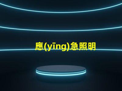 應(yīng)急照明燈和疏散指示燈緊急情況下的安全指引解決方案