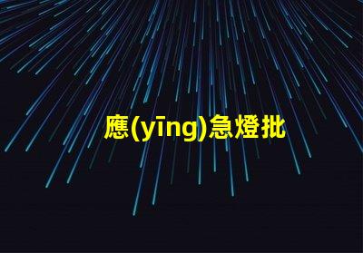 應(yīng)急燈批發(fā)高效供應(yīng)鏈助力企業(yè)節(jié)省成本
