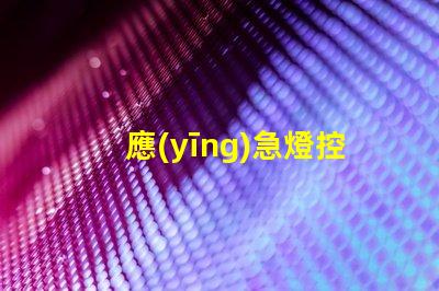 應(yīng)急燈控制提高安全性和可靠性的最佳方案