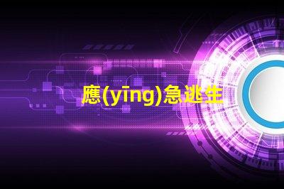 應(yīng)急逃生指示燈關(guān)鍵時(shí)刻的安全指示燈設(shè)計(jì)與應(yīng)用