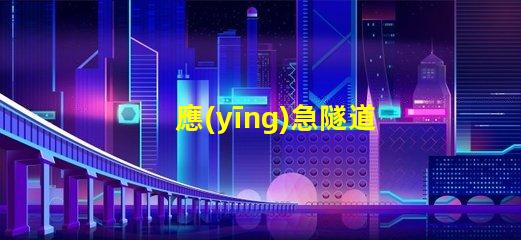 應(yīng)急隧道燈如何在危機中確保安全照明
