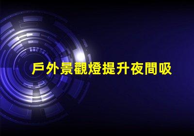 戶外景觀燈提升夜間吸引力的亮點(diǎn)選擇