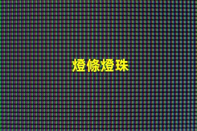 燈條燈珠