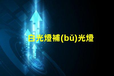 白光燈補(bǔ)光燈