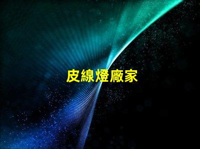 皮線燈廠家