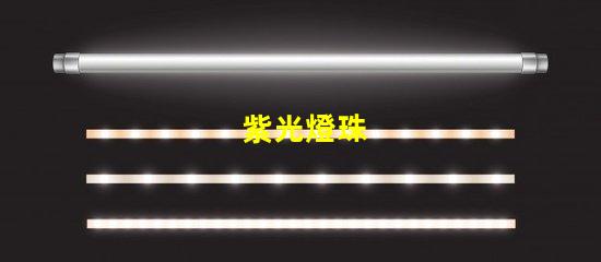 紫光燈珠