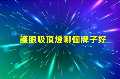 護眼吸頂燈哪個牌子好優(yōu)質(zhì)護眼燈具選擇指南