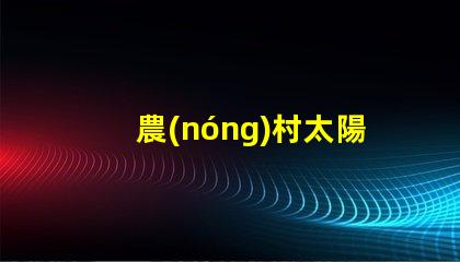農(nóng)村太陽能路燈廠家高效光源與節(jié)能解決方案