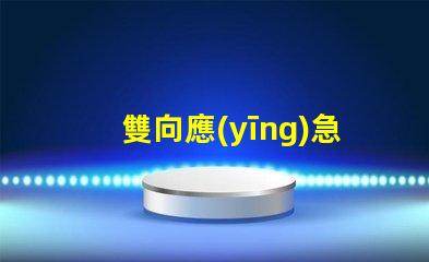雙向應(yīng)急指示燈保障安全的關(guān)鍵照明解決方案