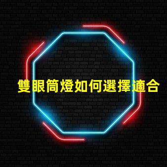 雙眼筒燈如何選擇適合您空間的雙眼筒燈