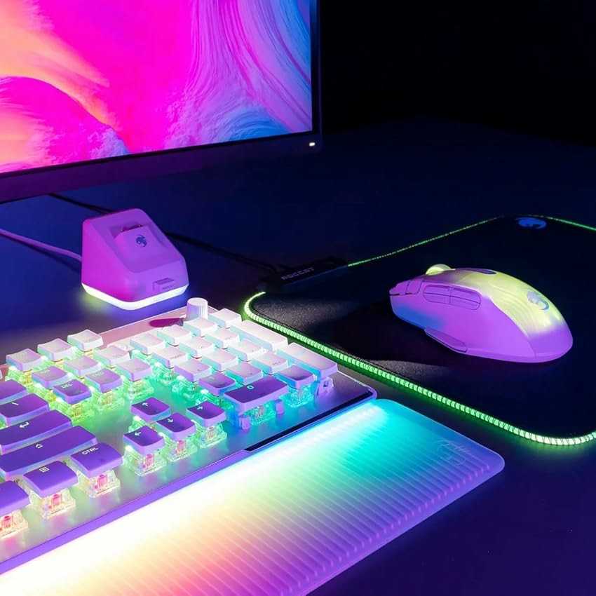 主要品牌與型號介紹