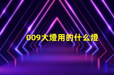 009大燈用的什么燈珠