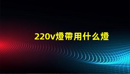 220v燈帶用什么燈珠