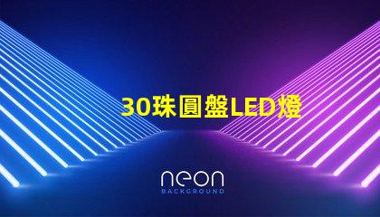30珠圓盤LED燈
